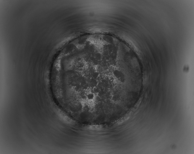 X0000101140353200807181300