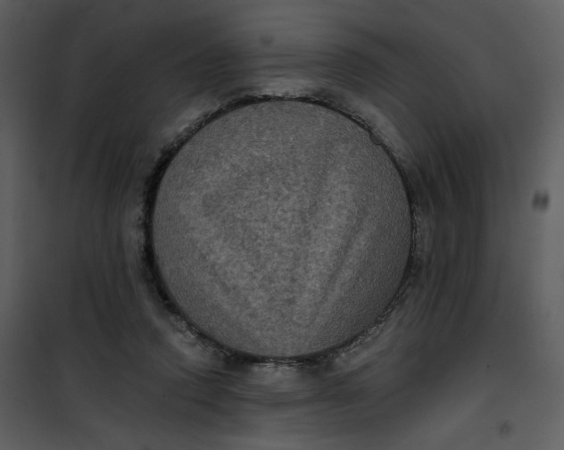 X0000101140354200807181300