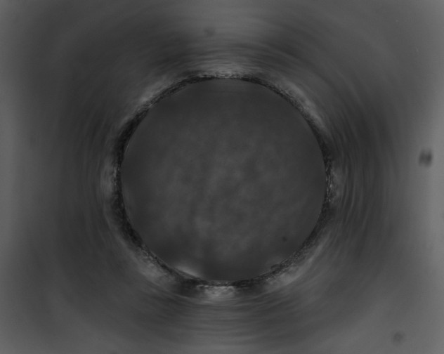 X0000101140355200807181300