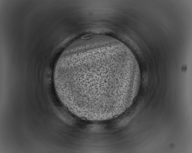 X0000101140356200807181300