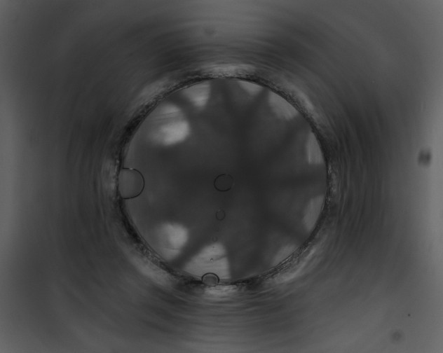 X0000101140357200807181300