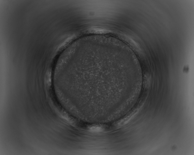 X0000101140358200807181300