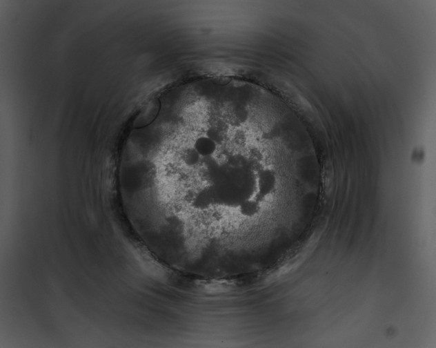 X0000101140359200807181300