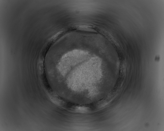 X0000101140360200807181300