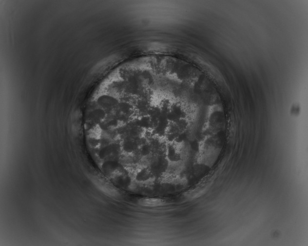 X0000101140361200807181300