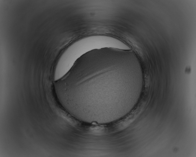 X0000101140362200807181300