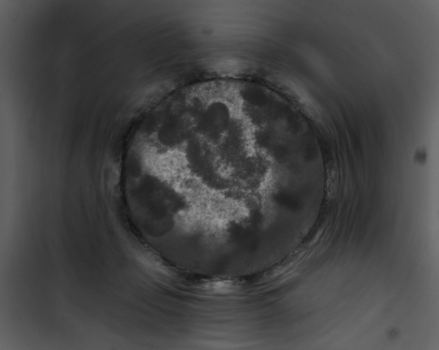 X0000101140365200807181300