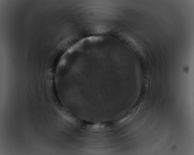 X0000101140366200807181300