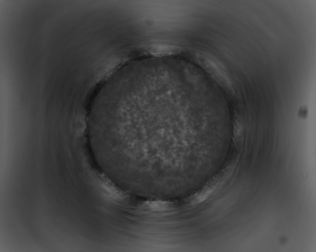 X0000101140367200807181300