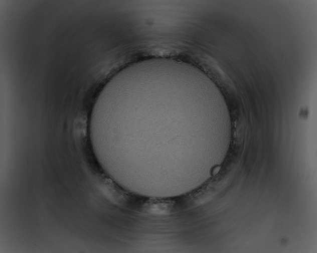 X0000101140368200807181300