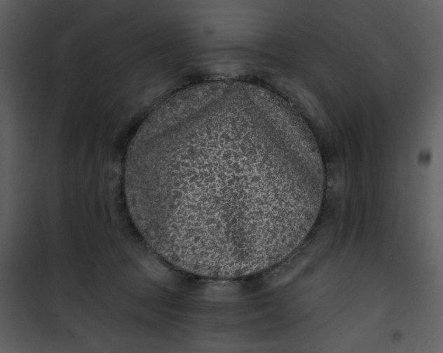 X0000101140369200807181300