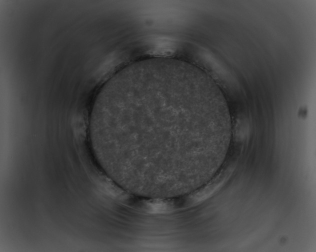 X0000101140370200807181300