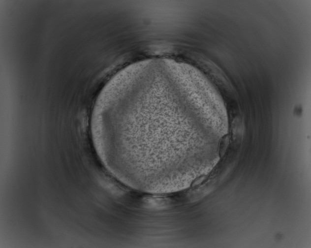 X0000101140372200807181300