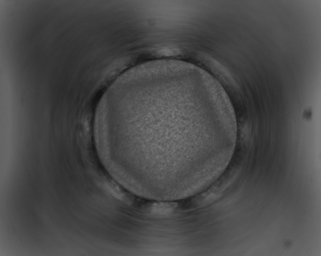 X0000101140373200807181300