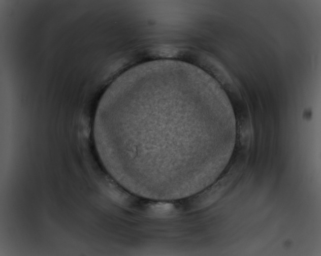 X0000101140374200807181300