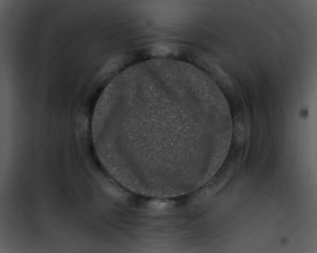 X0000101140375200807181300