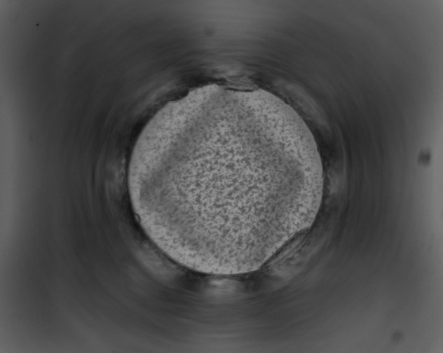 X0000101140376200807181300