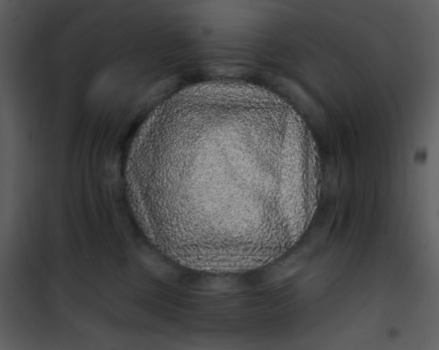 X0000101140377200807181300