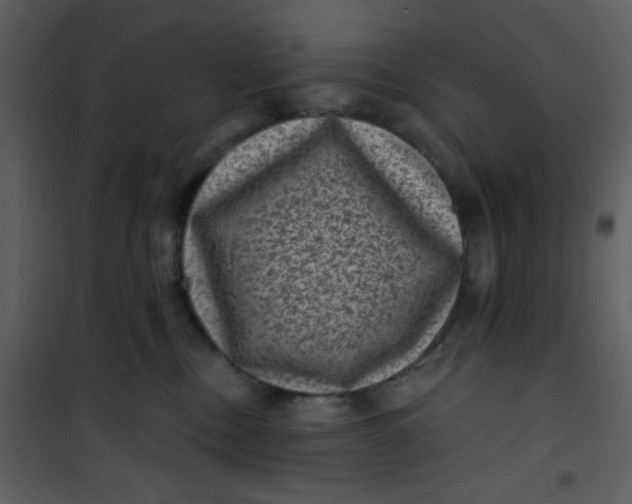 X0000101140378200807181300