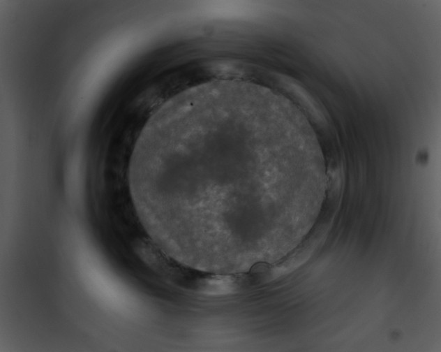 X0000101140381200807181300