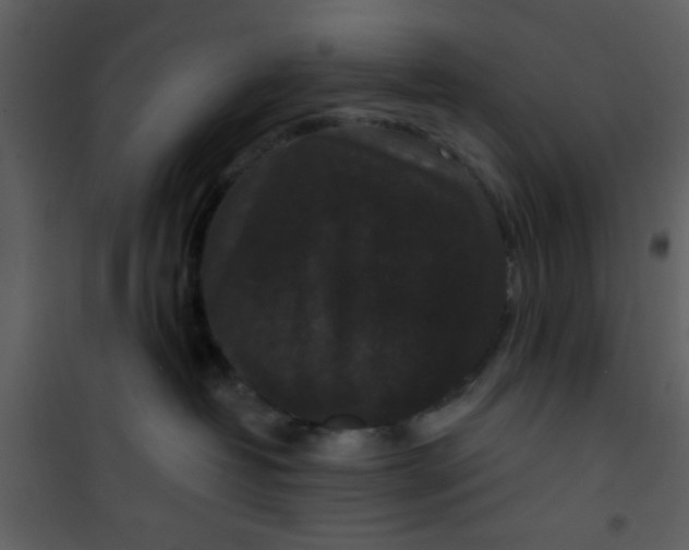 X0000101140382200807181300