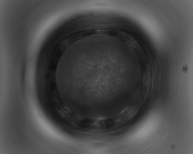 X0000101140383200807181301