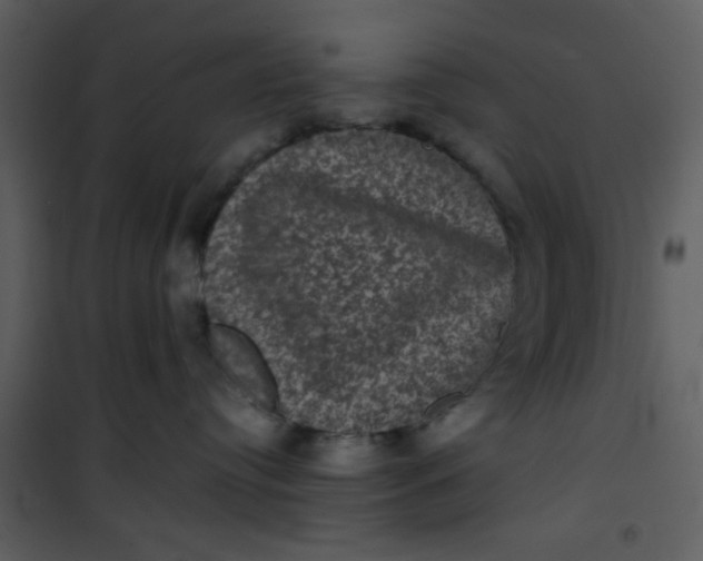 X0000101140384200807181301