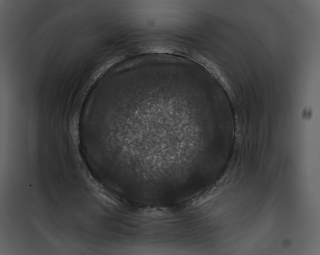 X0000101140386200807181300