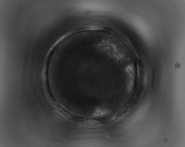 X0000101140387200807181300