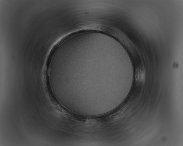 X0000101140388200807181300