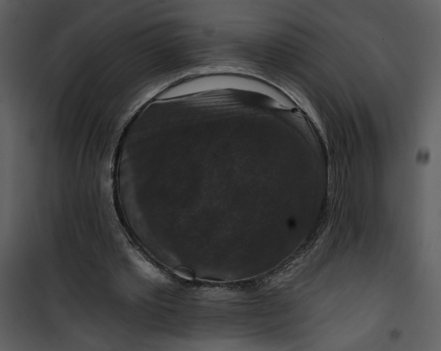 X0000101140389200807181300