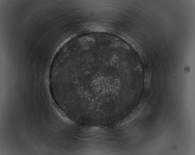 X0000101140390200807181300