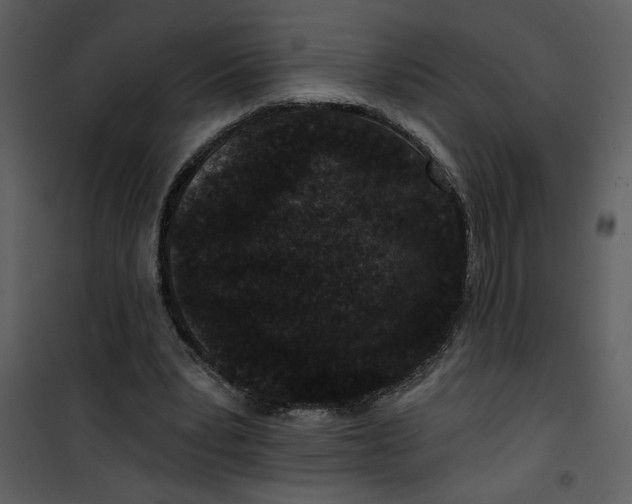 X0000101140391200807181300