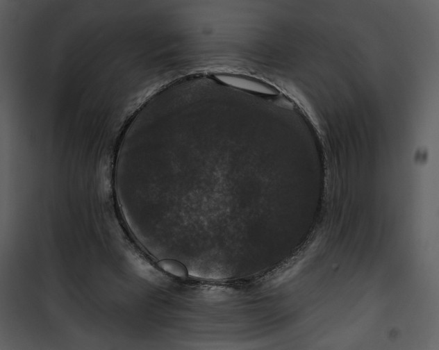 X0000101140393200807181300