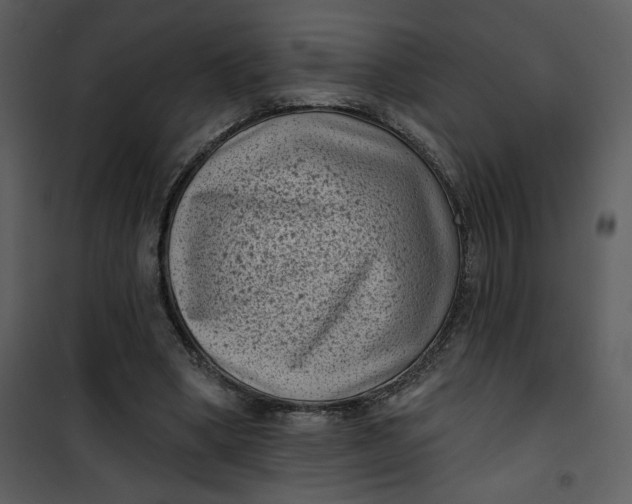 X0000101140394200807181300