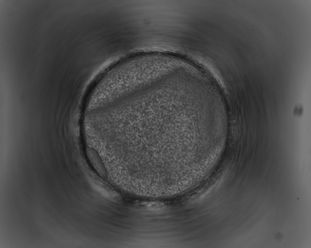 X0000101140395200807181300