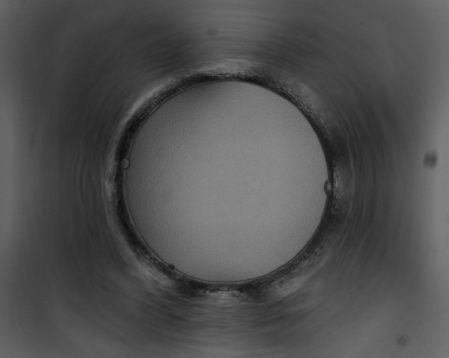 X0000101140396200807181300