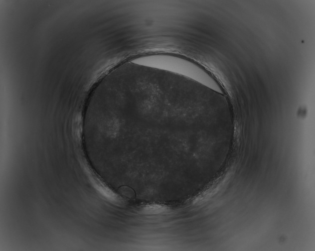 X0000101140397200807181300