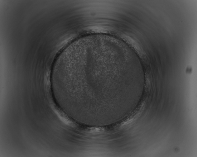 X0000101140398200807181300