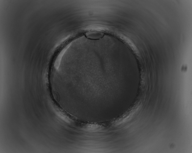 X0000101140399200807181300