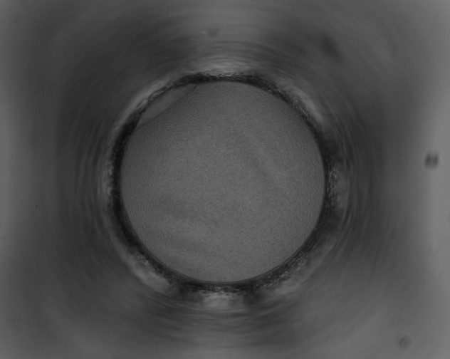 X0000101140400200807181300