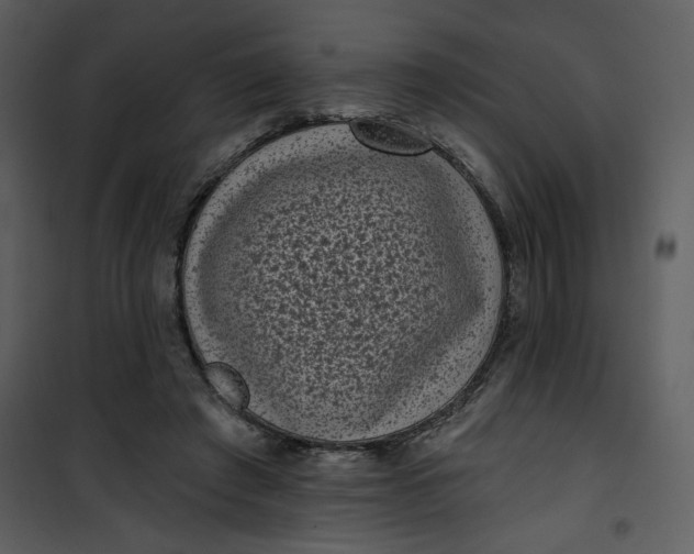 X0000101140401200807181300