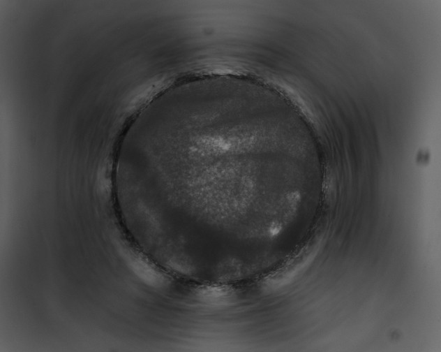 X0000101140402200807181300