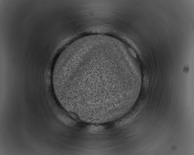 X0000101140403200807181300