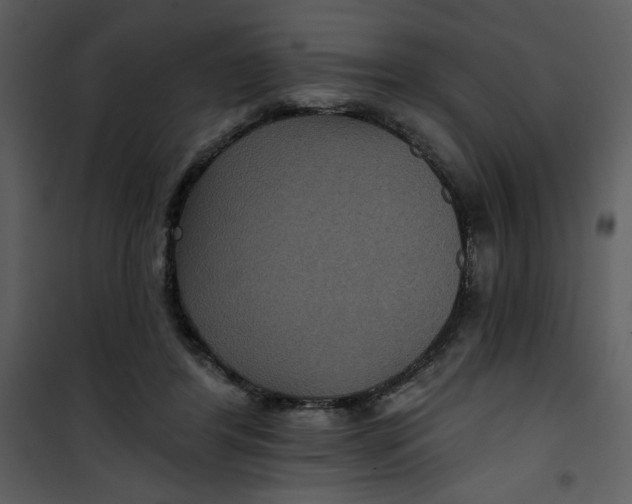 X0000101140404200807181300