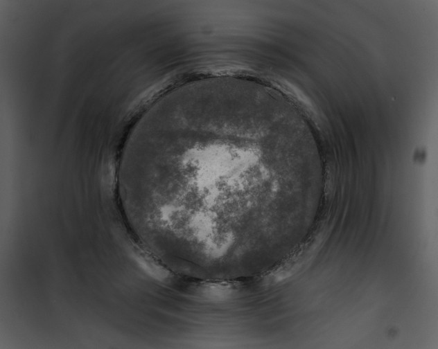 X0000101140405200807181300