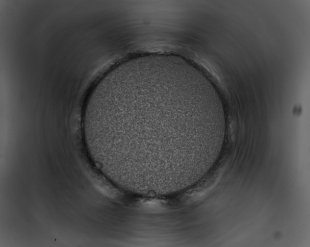 X0000101140407200807181300