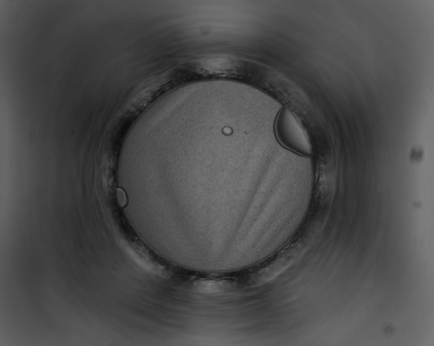 X0000101140408200807181300