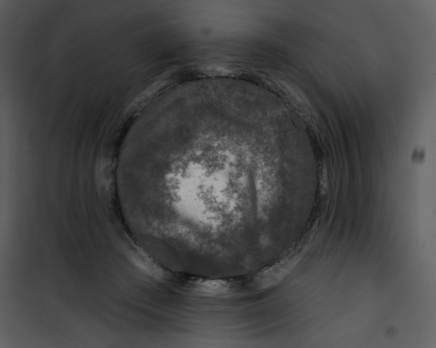 X0000101140409200807181300