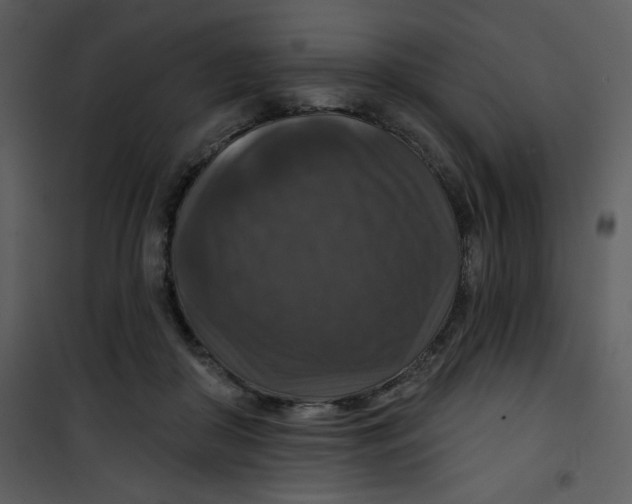 X0000101140410200807181300